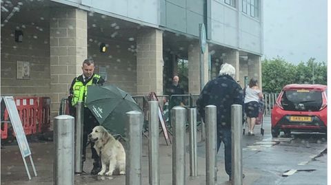 Supermarkt: Security-Mann schützt Hund vor Regen – die Szene rührt tausende Twitter-User