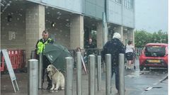 regenschirm zum hinstellen