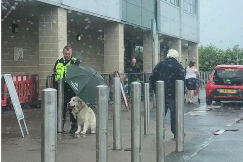 Supermarkt: Security-Mann schützt Hund vor Regen – die Szene rührt tausende Twitter-User