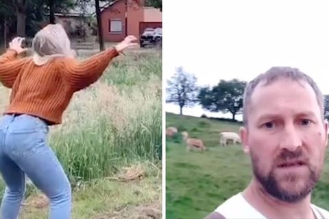 Bauer ärgert sich über den neuen Tiktok-Trend