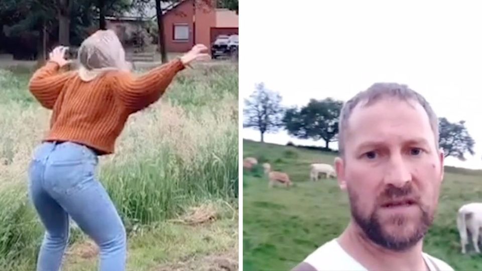 Bauer ärgert sich über den neuen Tiktok-Trend Bauer ärgert sich über den neuen Tiktok-Trend