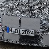 Trotz der Tarnung kann man die große Niere erahnen