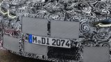 Trotz der Tarnung kann man die große Niere erahnen