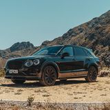 Erprobung Bentley Bentayga 2021