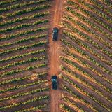 Erprobung Bentley Bentayga 2021