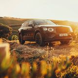 Bentley Bentayga Erprobung