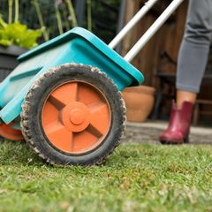 Rasen düngen und pflegen: Streuwagen für Dünger auf einem Rasen