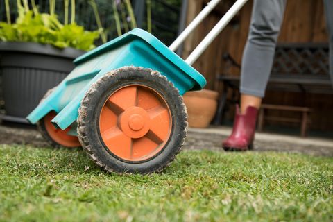 Rasen düngen und pflegen: Streuwagen für Dünger auf einem Rasen