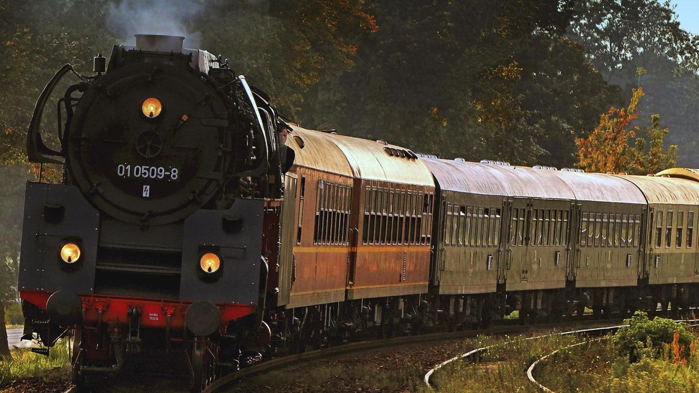 Diogo ist 1986 aus einem Zug der DDR Reichsbahn auf die Gleise gestürzt und gestorben (Symbolbild)