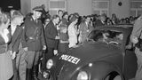 VW Käfer