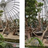 Normalerweise ist man etwas weiter weg. Links erlaubt die Ultraweitwinkellinse, etwas mehr Inhalt ins Bild zu holen, rechts ist das normale Bild der Hauptkamera. Lichtstimmung, Farben und Kontraste werden in beiden gut eingefangen.