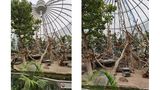 Normalerweise ist man etwas weiter weg. Links erlaubt die Ultraweitwinkellinse, etwas mehr Inhalt ins Bild zu holen, rechts ist das normale Bild der Hauptkamera. Lichtstimmung, Farben und Kontraste werden in beiden gut eingefangen.