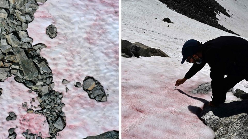 Erderwärmung: Gletscher in Italien färbt sich rosa – Wissenschaftler untersuchen das Phänomen