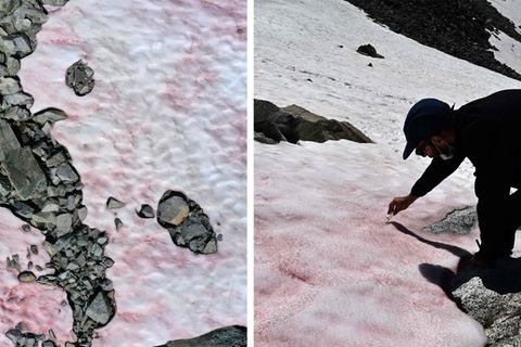Erderwärmung: Gletscher in Italien färbt sich rosa – Wissenschaftler untersuchen das Phänomen