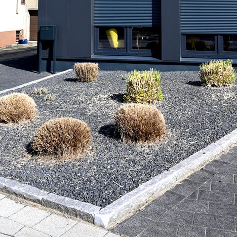 Geheimtipps für den Garten: Leiterin der bayrischen Gartenakademie mahnt: "Schottergärten sind einfach eine Katastrophe"