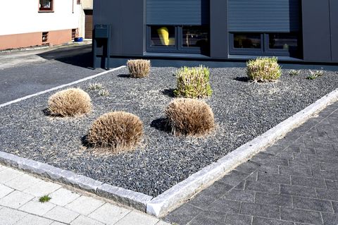Geheimtipps für den Garten: Leiterin der bayrischen Gartenakademie mahnt: "Schottergärten sind einfach eine Katastrophe"