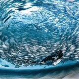 Im Auge des Tornados