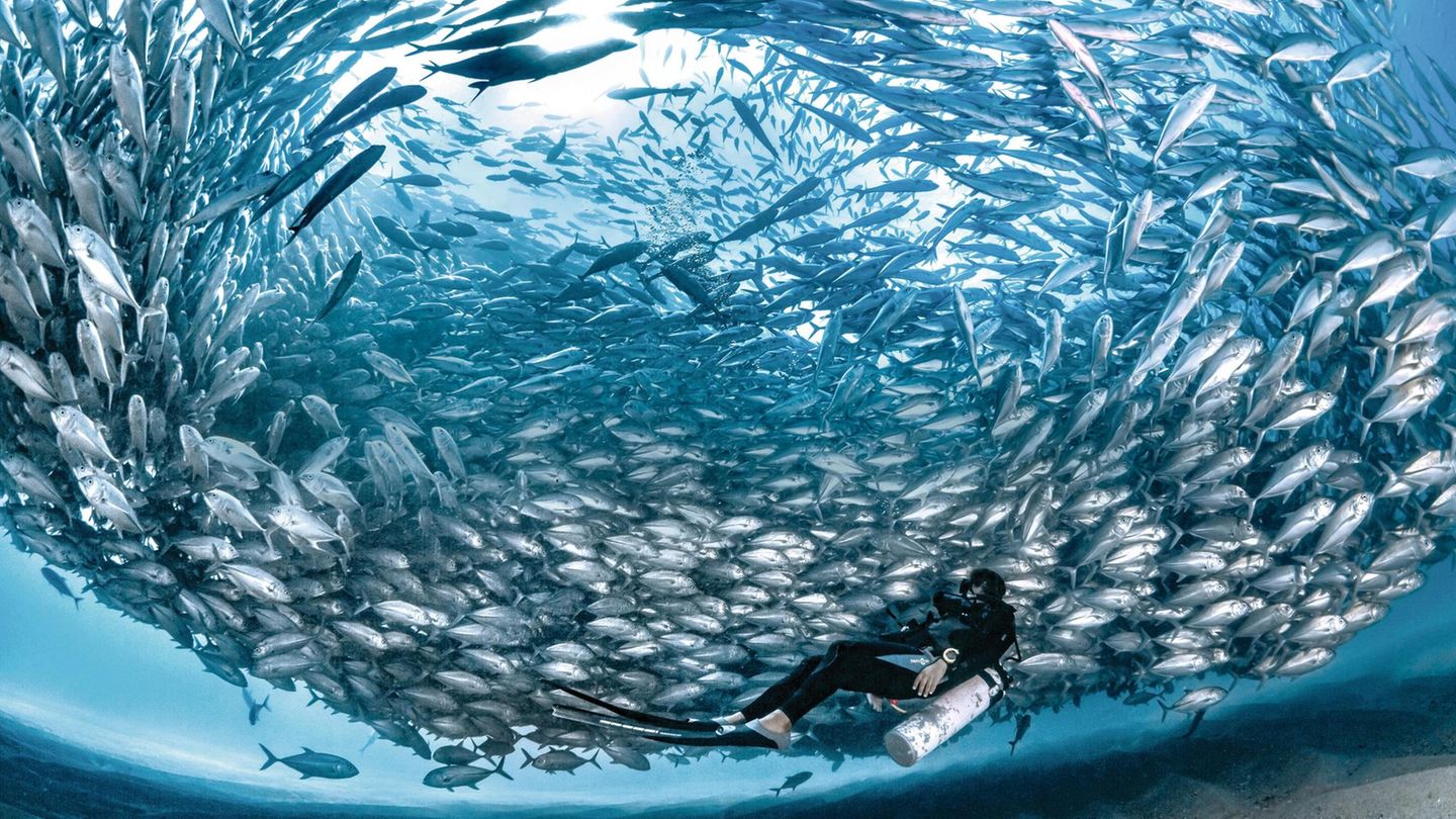 Im Auge des Tornados Im Auge des Tornados