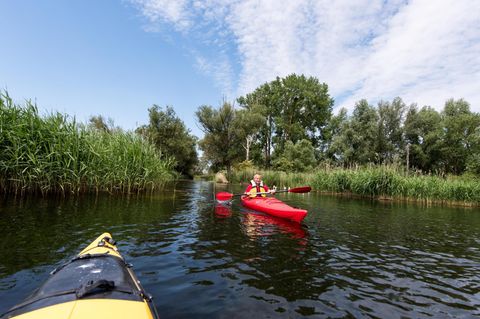 Entlang der Peene haben sich Gewässer gebildet