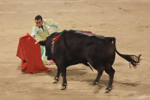 Torero reizt einen Stier