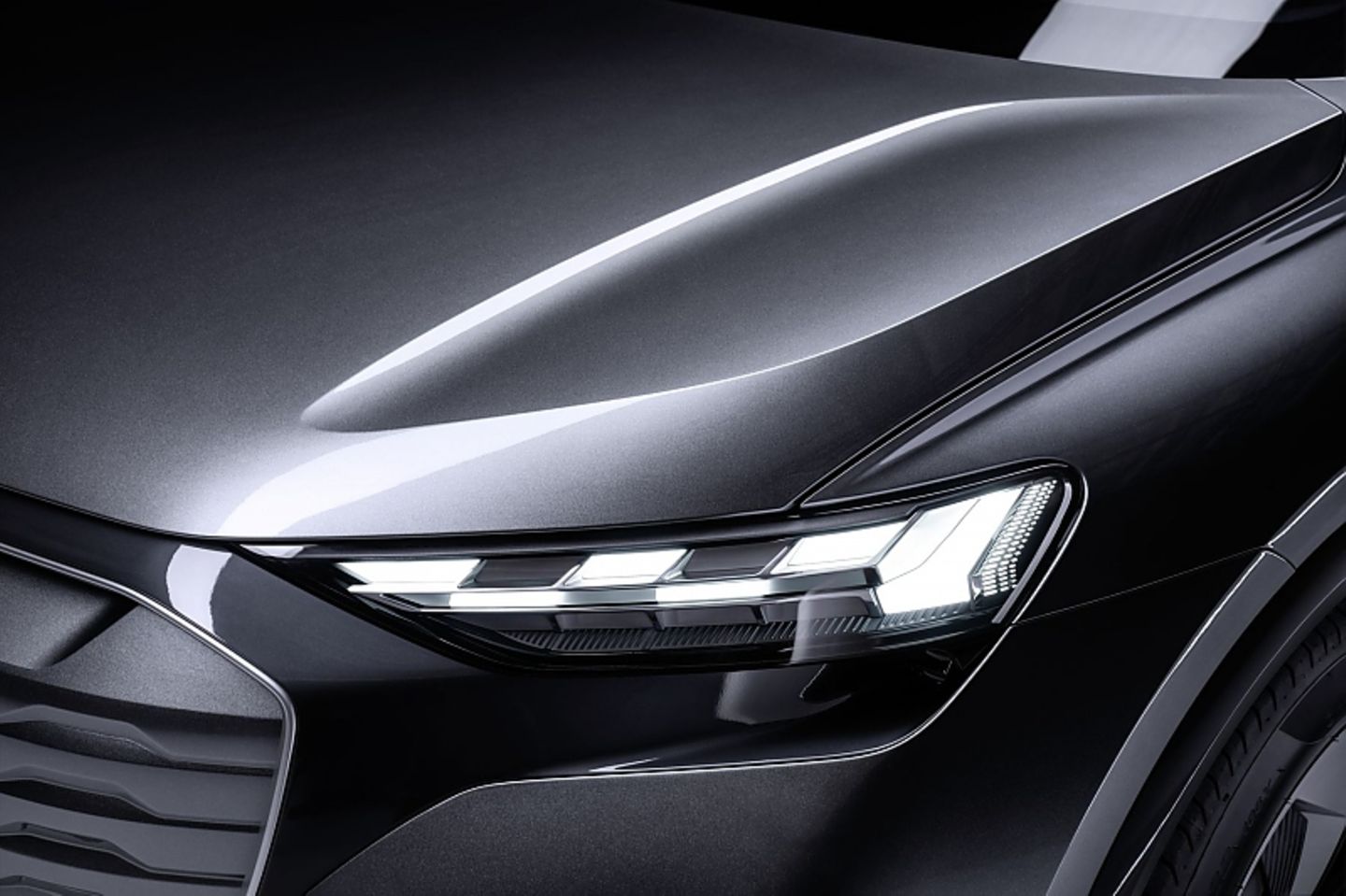 Der Kunde kann zwischen drei Tagfahrlichtsignaturen wählen
