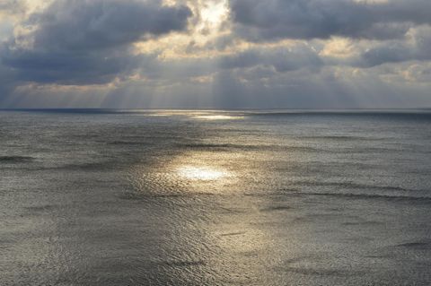 Nordsee und Ostsee werden immer wärmer