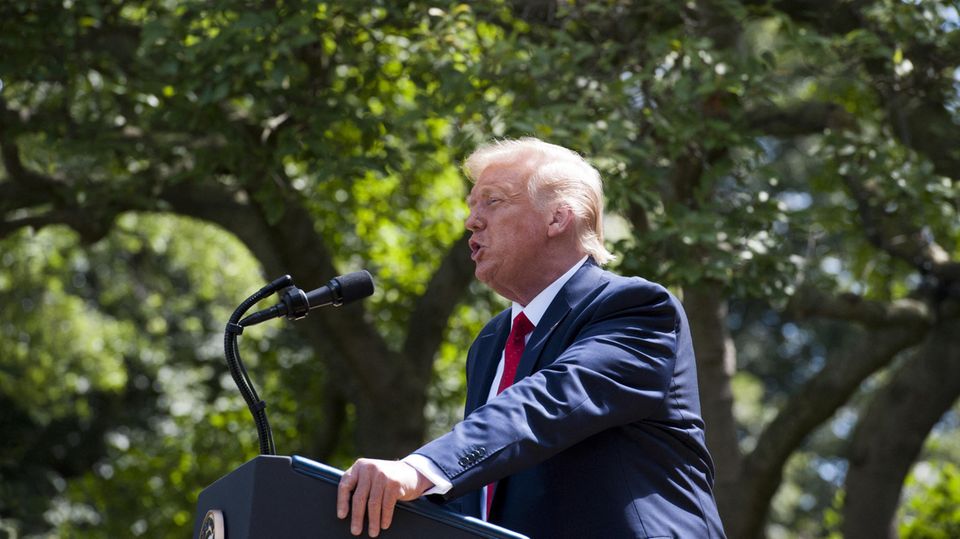 Donald Trump im Rosengarten des Weißen Hauses