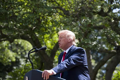 Donald Trump im Rosengarten des Weißen Hauses