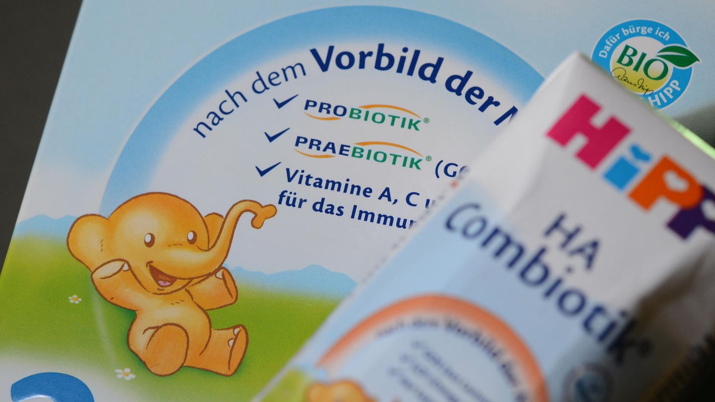 Hipp Kindermilch