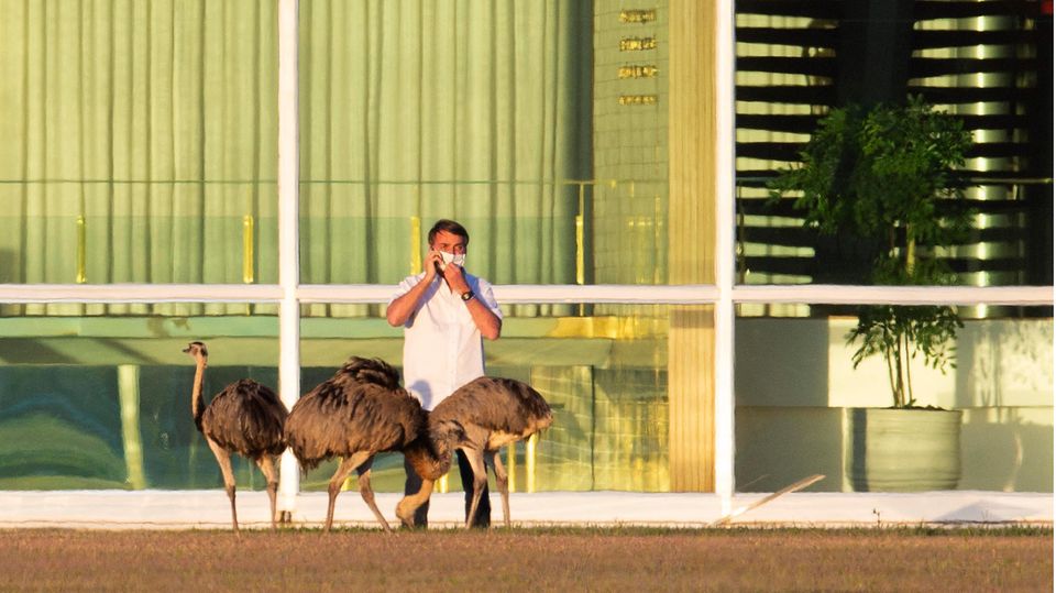 Jair Bolsonaro, Präsident von Brasilien, telefoniert mit Mundschutz hinter mehreren Emus vor seiner offiziellen Residenz