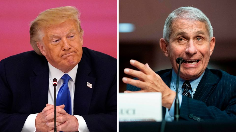 Donald Trump weist Meldungen zurück, dass das Weiße Haus gegen den US-Immunologe Anthony Fauci vorgehe.
