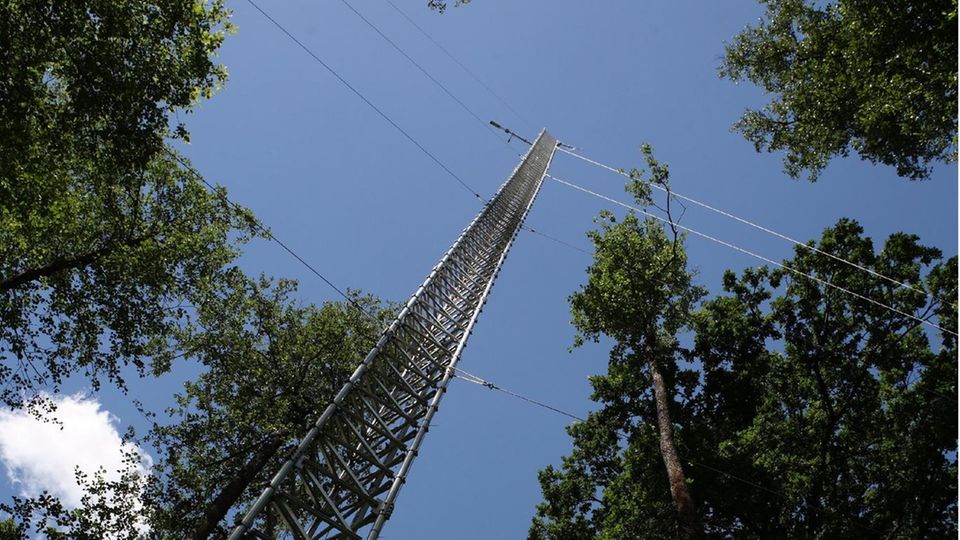 Treibhausgas-Messturm im Biosphvßrenreservat Spreewald