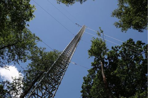 Treibhausgas-Messturm im Biosphvßrenreservat Spreewald