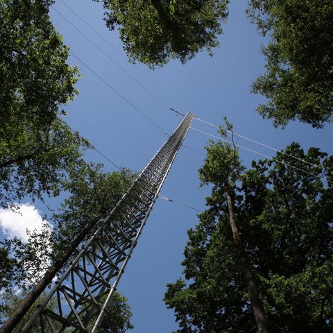 Treibhausgas-Messturm im Biosphvßrenreservat Spreewald