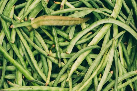 VOE STERN GESUND LEBEN 4/2020 Green Beans BackgroundContact support@stocksy.com for more information. Please see Stocksy United's licensing agreement here: https://www.stocksy.com/legal/contentlicense