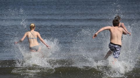 Bio Seifen Online Bestellen Mller