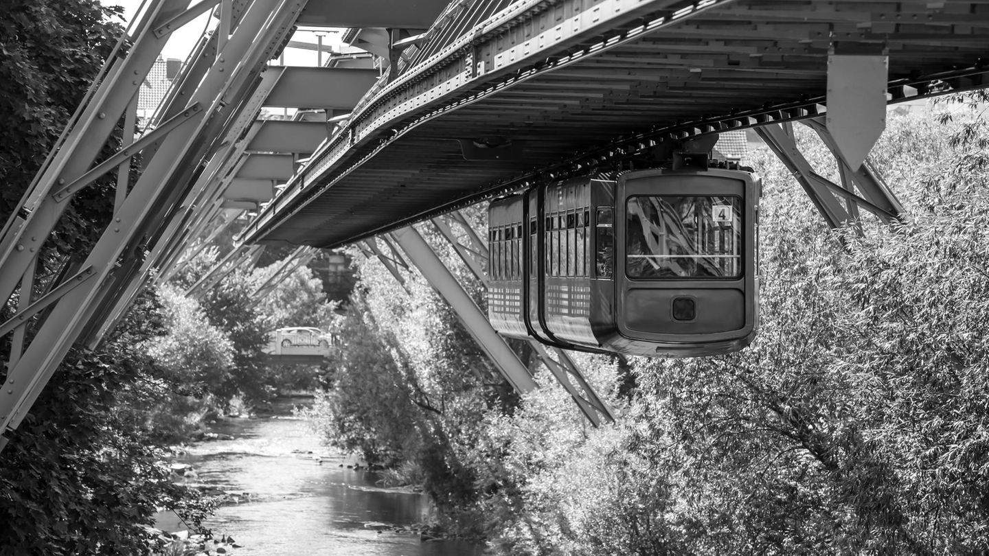 Vor 70 Jahren sprang "Tuffi" aus der Wuppertaler Schwebebahn