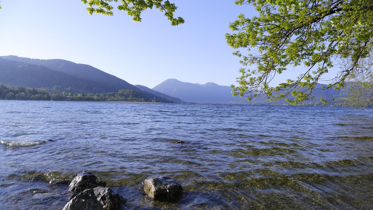 Tagesausflüge München: Tegernsee Der Tegernsee liegt rund 50 Kilometer von Münchens Innenstadt entfernt. Ein kurzer Trip, um ein bisschen Natur außerhalb Münchens zu genießen. Wandern, Radfahren, Golfen oder Paragliding: Am Tegernsee können Sie sich aktiv austoben. Wer es weniger actionreich mag, kann sich auch ein Ruderboot ausleihen oder noch entspannter die Gastronomie am Tegernsee genießen. Denn mit einem zünftigen Weißbier kann man hier herrlich andere Wassersportler beobachten. Mehr Informationen zum Tegernsee findet man hier. Tegernsee Der Tegernsee liegt rund 50 Kilometer von Münchens Innenstadt entfernt. Ein kurzer Trip, um ein bisschen Natur außerhalb Münchens zu genießen. Wandern, Radfahren, Golfen oder Paragliding: Am Tegernsee können Sie sich aktiv austoben. Wer es weniger actionreich mag, kann sich auch ein Ruderboot ausleihen oder noch entspannter die Gastronomie am Tegernsee genießen. Denn mit einem zünftigen Weißbier kann man hier herrlich andere Wassersportler beobachten. Mehr Informationen zum Tegernsee findet man hier.