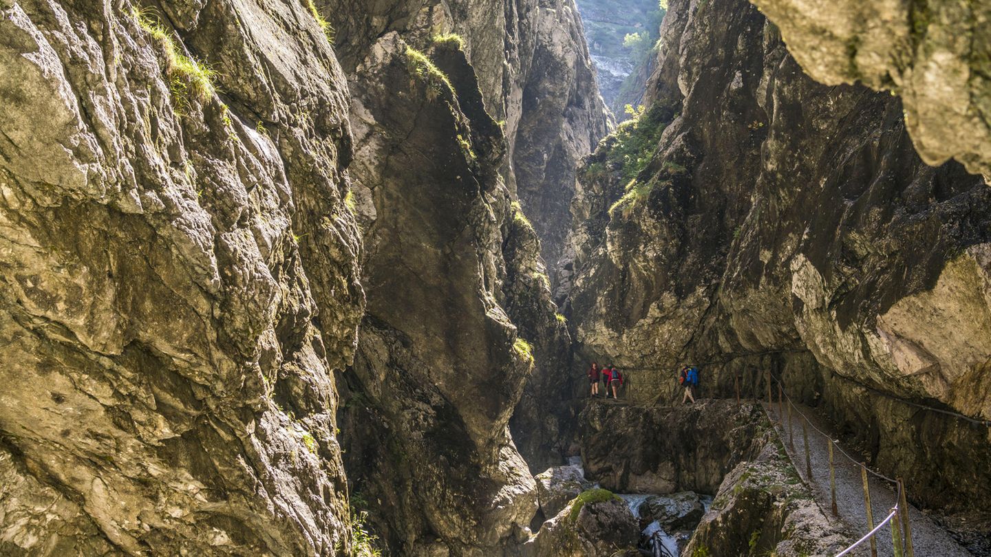 Tagesausflüge München: Höllentalklamm Wild schäumend stürzt sich im Höllentalklamm der Hammerbach in tiefe Schluchten. Wer abenteuerlustig ist und Lust hat zu wandern, der sollte sich von München aus aufmachen zum Höllentalklamm. Hier kann man über Brücken durch die Schluchten kraxeln und sich von der wilden Natur beeindrucken lassen. Rund zwei Stunden braucht man zu Stoßzeiten für die circa 100 Kilometer von der Münchner Innenstadt zum Naturschauspiel Höllentalklamm. Hier finden Sie noch mehr Informationen zum Höllentalklamm. Höllentalklamm Wild schäumend stürzt sich im Höllentalklamm der Hammerbach in tiefe Schluchten. Wer abenteuerlustig ist und Lust hat zu wandern, der sollte sich von München aus aufmachen zum Höllentalklamm. Hier kann man über Brücken durch die Schluchten kraxeln und sich von der wilden Natur beeindrucken lassen. Rund zwei Stunden braucht man zu Stoßzeiten für die circa 100 Kilometer von der Münchner Innenstadt zum Naturschauspiel Höllentalklamm. Hier finden Sie noch mehr Informationen zum Höllentalklamm.