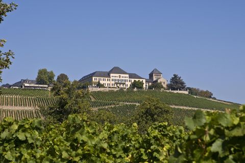 Schloss Johannisberg im Rheingau