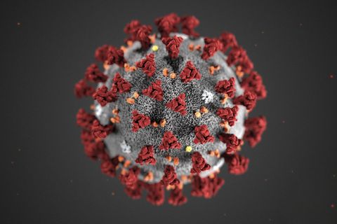 Coronavirus und Antikörper