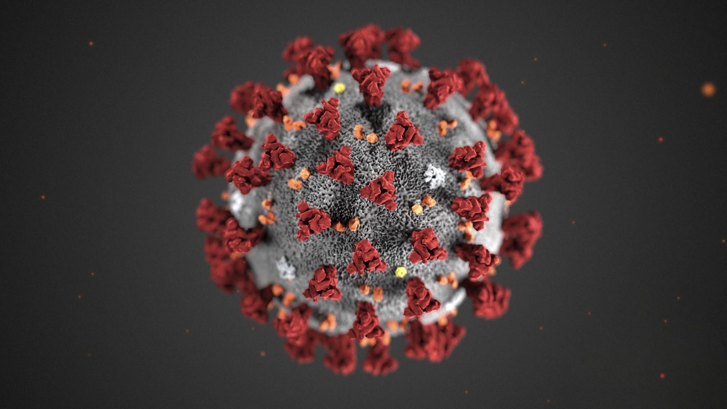 Coronavirus und Antikörper