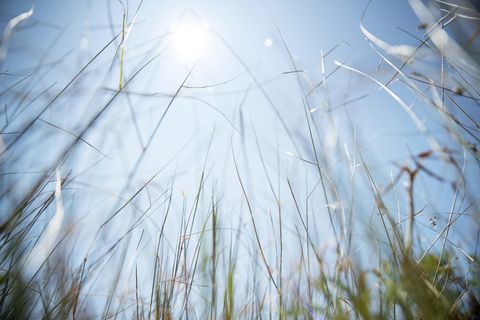 Hitze und Sonne bereiten nicht allen Menschen Freude 