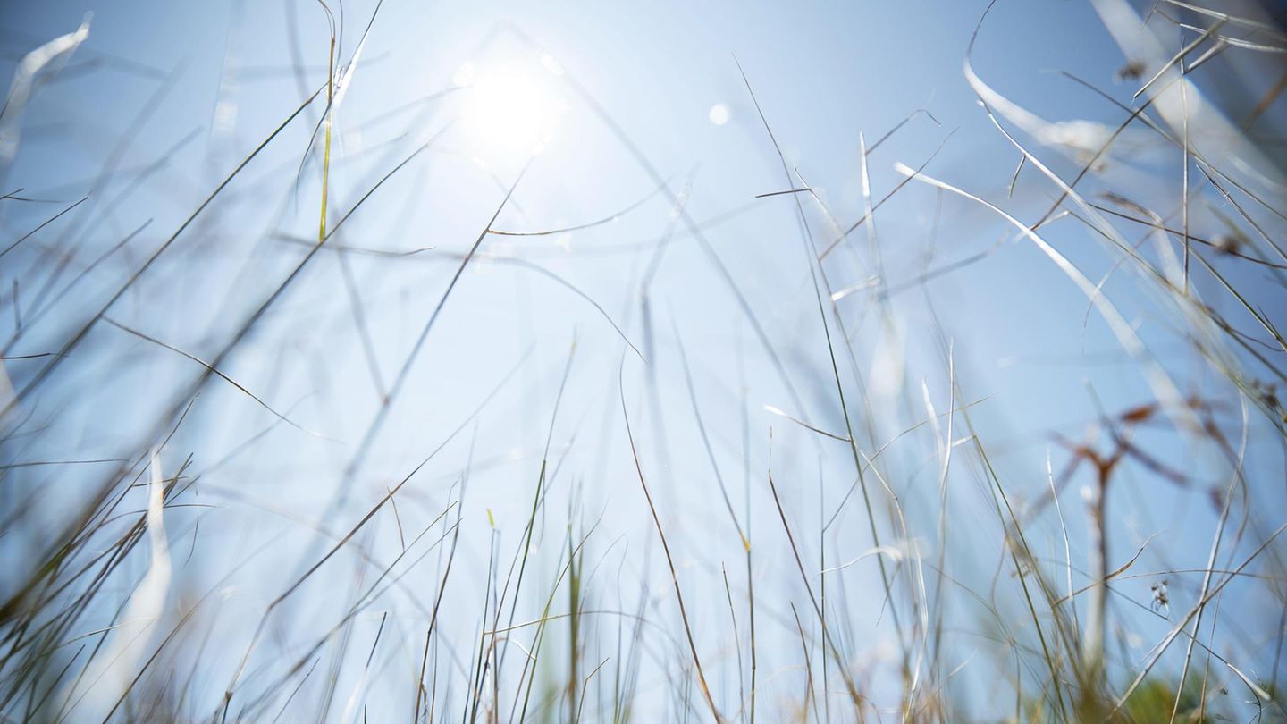 Hitze und Sonne bereiten nicht allen Menschen Freude 