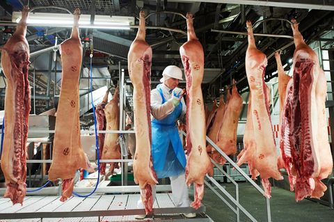 Ein Schlachthofmitarbeiter schneidet Fleisch aus einer Schweinehälfte heraus