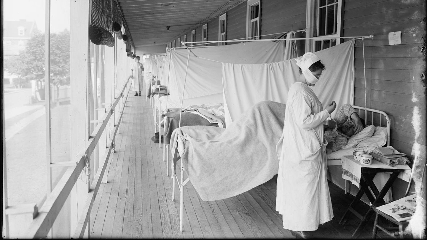 Buch "Pest und Corona": Von der Pest, der Spanischen Grippe und Corona: Die Geschichte der Seuchen