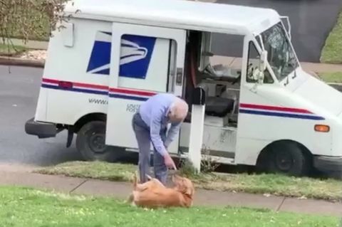 Unzertrennlich: Hund und Briefträger sind ziemlich beste Freunde