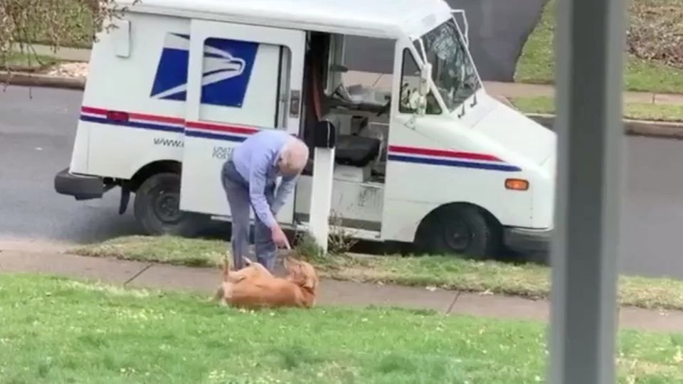 Unzertrennlich: Hund und Briefträger sind ziemlich beste Freunde