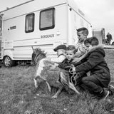 Vier Jungen spielen mit einem Zwergpony