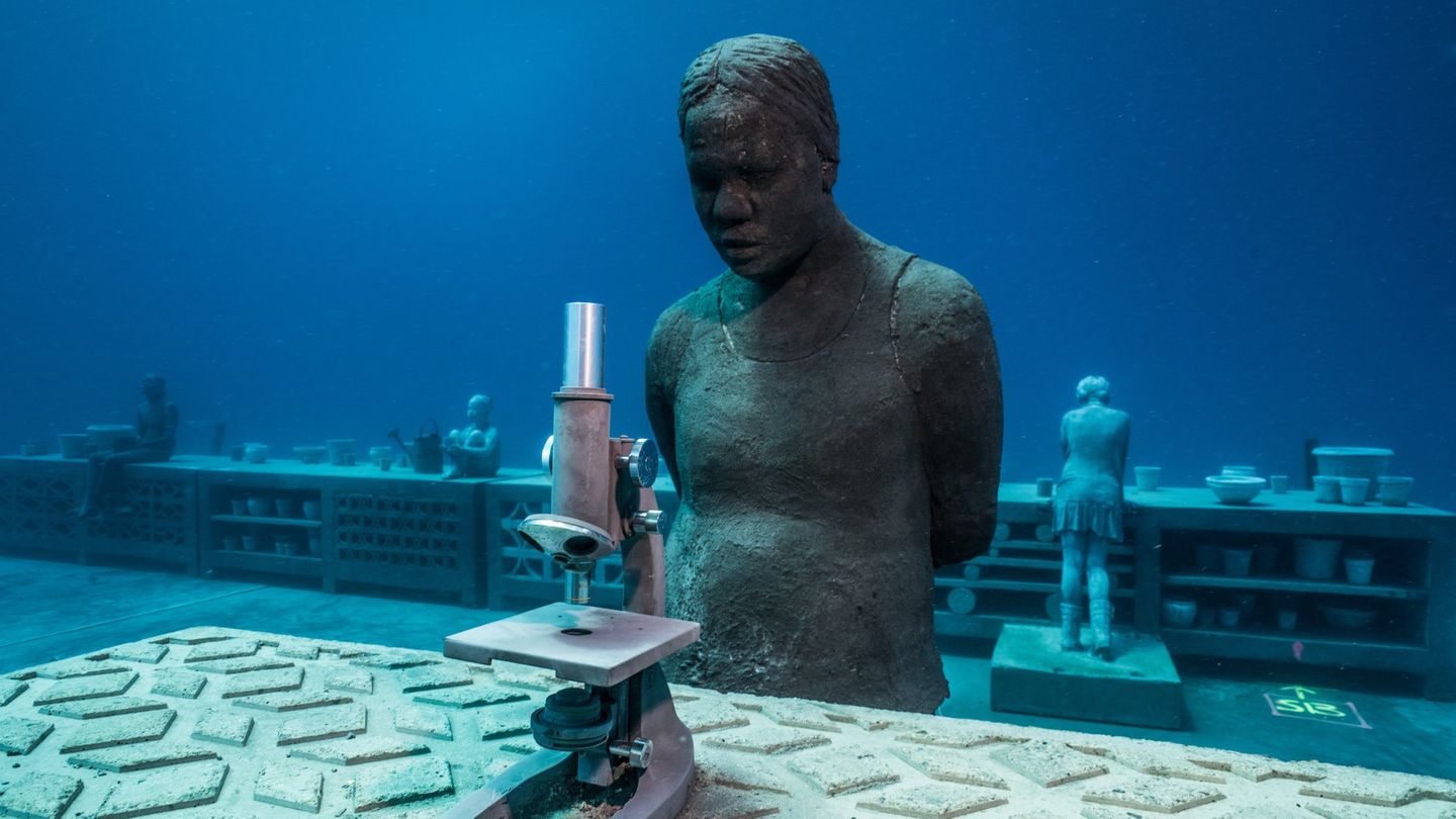 Auch arbeitet das Museum mit der James Cook University, dem Australian Institute of Marine Science und der Great Barrier Reef Marine Park Authority zusammen.